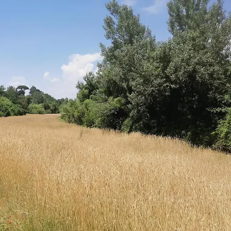 Az.agricola Agriturismo La Locanda Di Lann