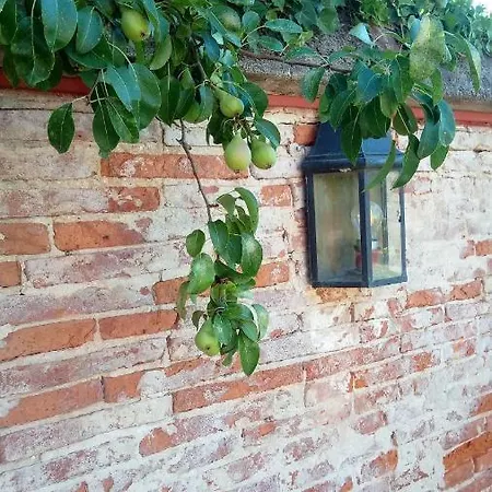 Az.agricola Agriturismo La Locanda Di Lann Apartment