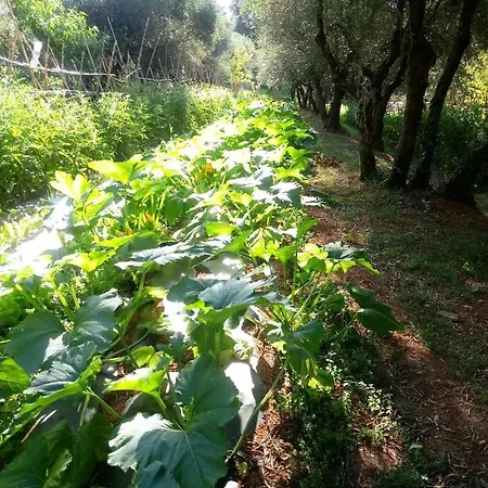 Apartment Az.agricola Agriturismo La Locanda Di Lann *