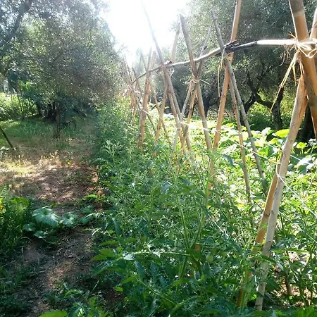 Az.agricola Agriturismo La Locanda Di Lann