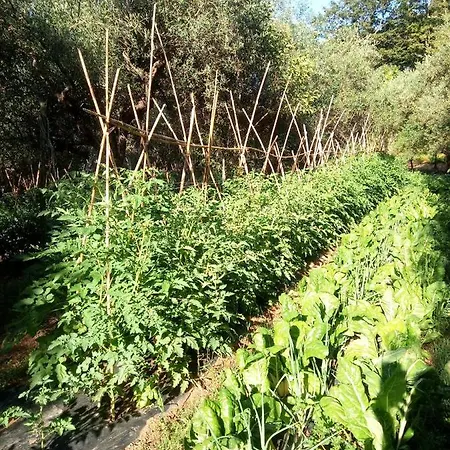 Az.agricola Agriturismo La Locanda Di Lann