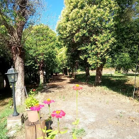 Apartment Az.agricola Agriturismo La Locanda Di Lann Fucecchio