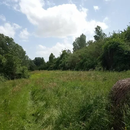 Az.agricola Agriturismo La Locanda Di Lann Fucecchio