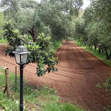 Apartment Az.agricola Agriturismo La Locanda Di Lann *