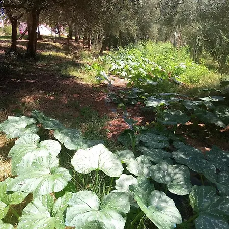 Az.agricola Agriturismo La Locanda Di Lann * Fucecchio