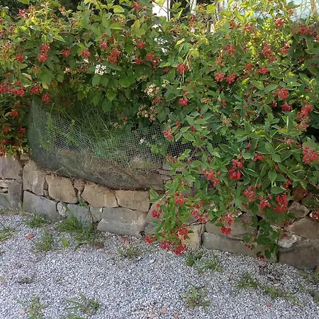 Az.agricola Agriturismo La Locanda Di Lann Fucecchio