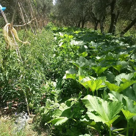 Az.agricola Agriturismo La Locanda Di Lann * Fucecchio